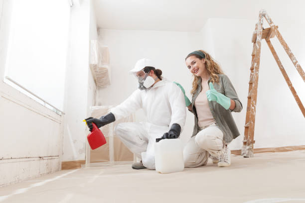 Mold Remediation for Vacation Homes in Washington, NC